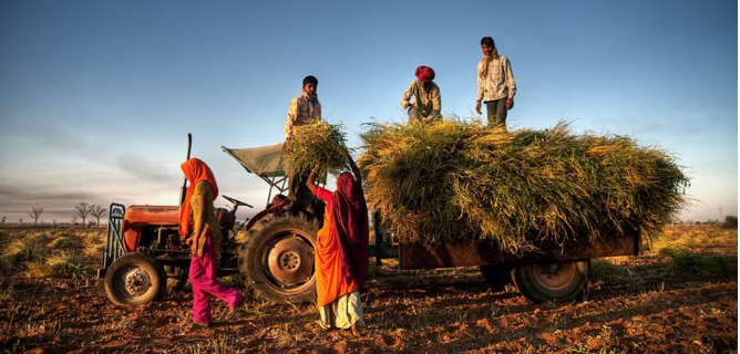 Farmer Loan Waivers